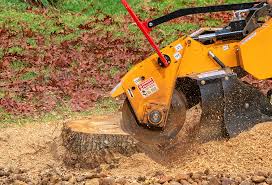 How Our Tree Care Process Works  in  Prospect Heights, IL